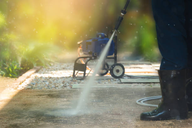 Best Roof Washing  in Willards, MD
